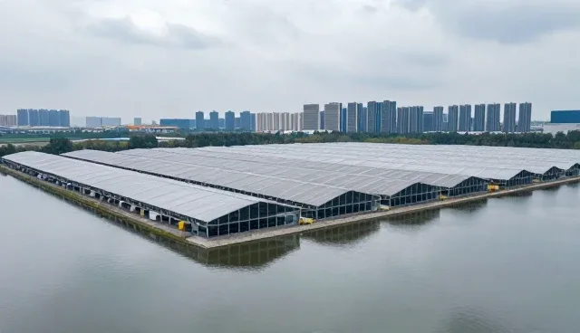 企业级服务器租赁如何兼顾性能与适用条件